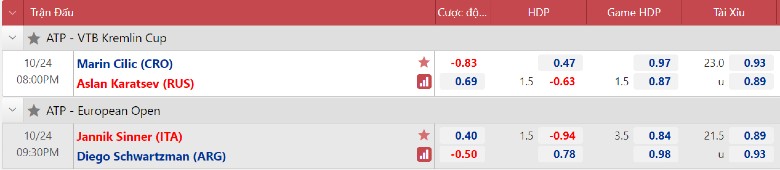 Comments for the European Open - Sinner vs Schwartzman, 21h30 on October 24 - Photo 2