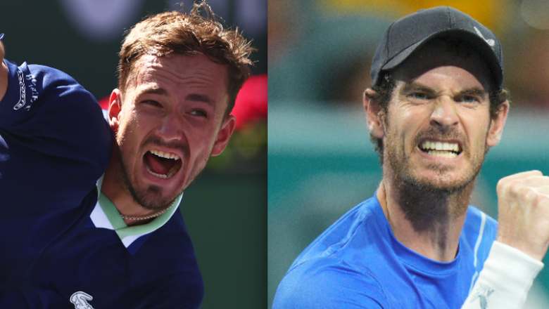 Medvedev vs Murray tennis, final Qatar Open - 22:00 on February 25 - Photo 1