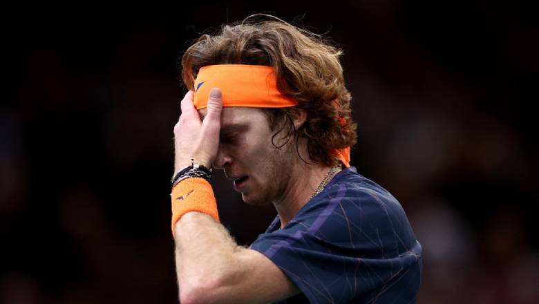 Djokovic upstream defeat RubleV, met Dimitrov in the final of Paris Masters - Photo 2
