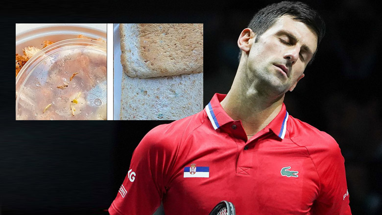 Djokovic asks his own chef, Australia to refuse - Photo 2